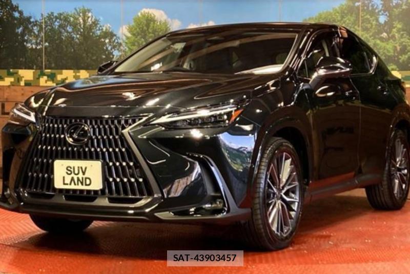 Lexus NX 2026-04 8364344-2