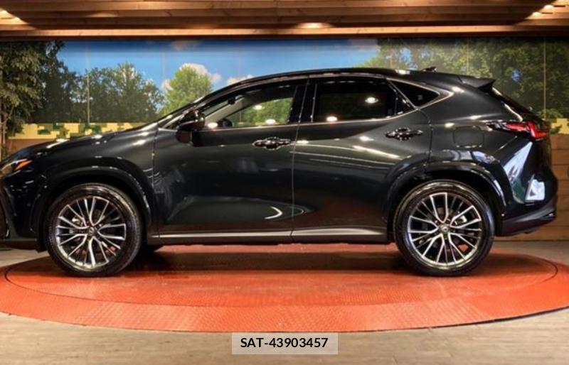 Lexus NX 2026-04 8364344-3