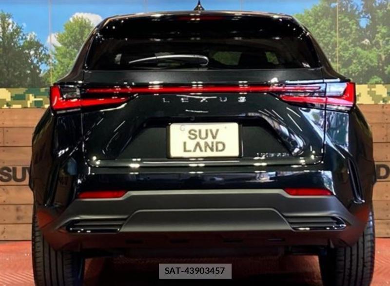 Lexus NX 2026-04 8364344-4
