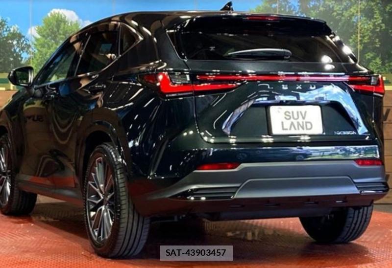 Lexus NX 2026-04 8364344-5