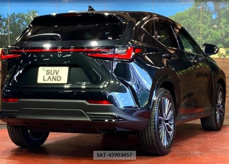 Lexus NX 2026-04 8364344-6