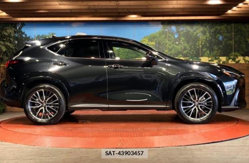 Lexus NX 2026-04 8364344-7