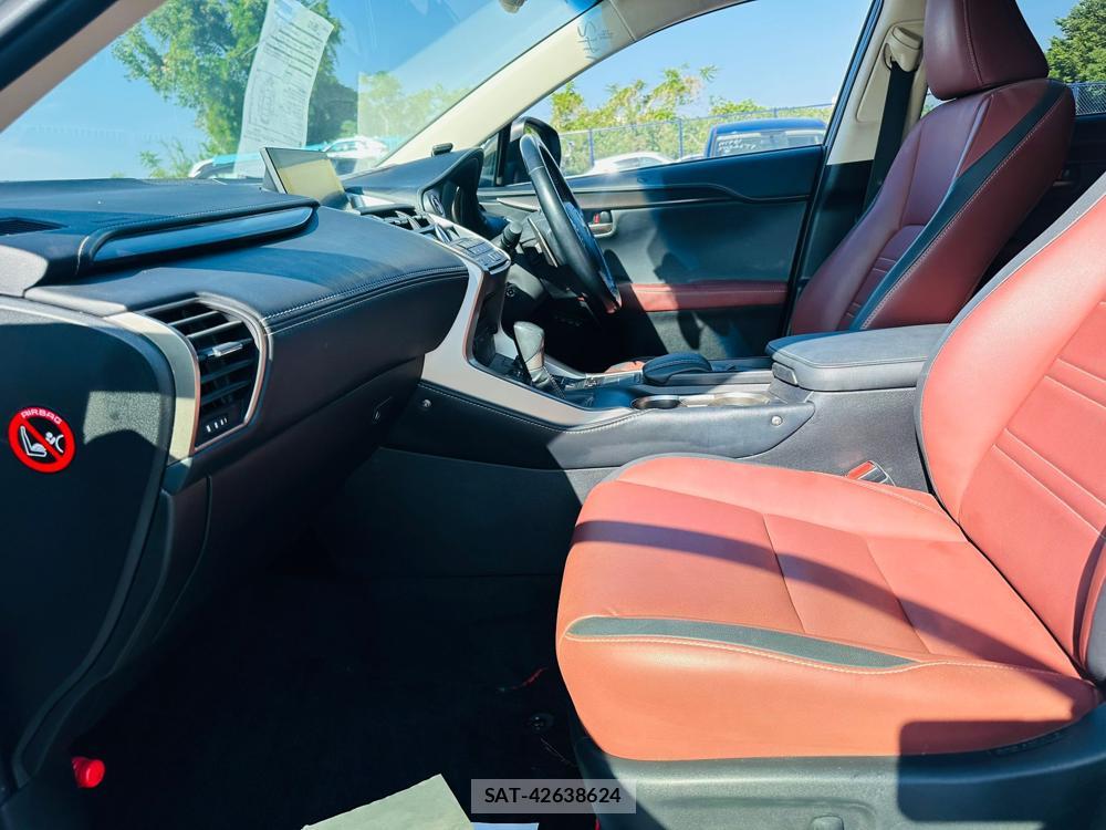 Lexus NX 2016 6788184-10