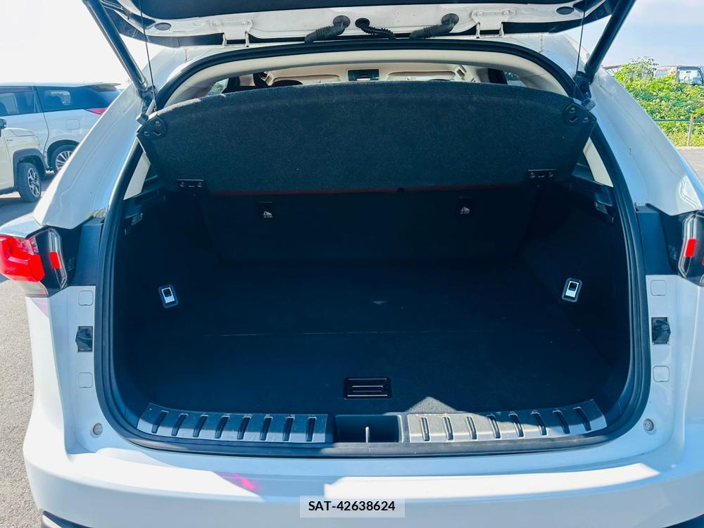 Lexus NX 2016 6788184-24