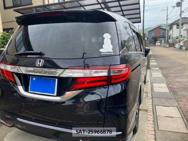 Honda ODYSSEY 2013-11 7223293-2