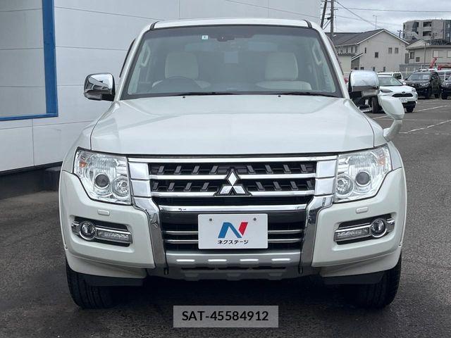 Mitsubishi PAJERO 2016-01 7393502-14