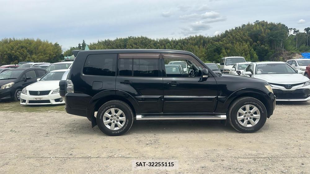 Mitsubishi PAJERO 2011-03 4598987-5