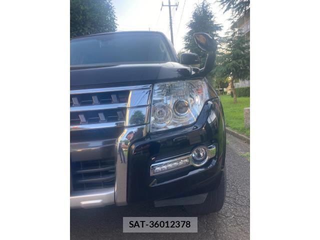 Mitsubishi PAJERO 2017-10 7980526-2
