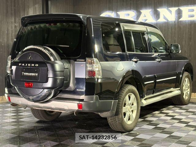 Mitsubishi PAJERO 2008-11 8881489-14
