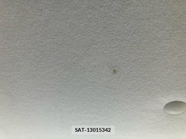 Suzuki PALETTE 2009-02 8831022-10