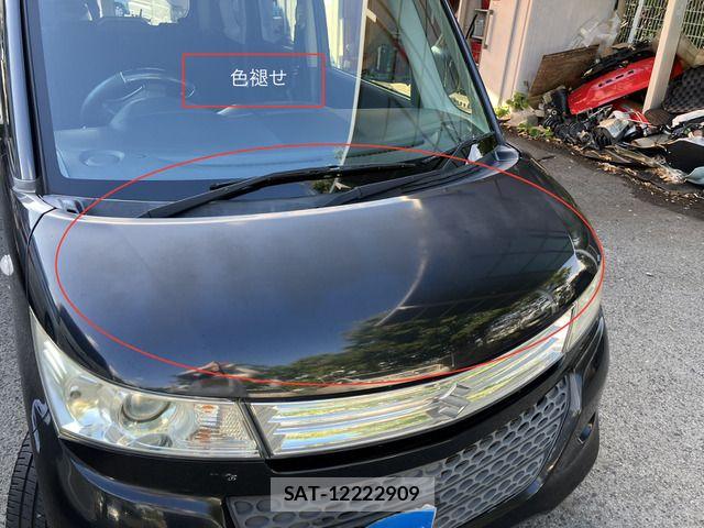 Suzuki PALETTE 2010-03 8745138-10