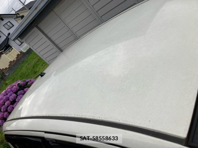 Toyota PASSO 2009-06 7727084-5