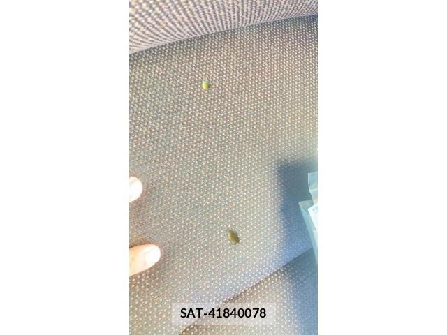 Toyota PASSO 2012-06 8881507-16