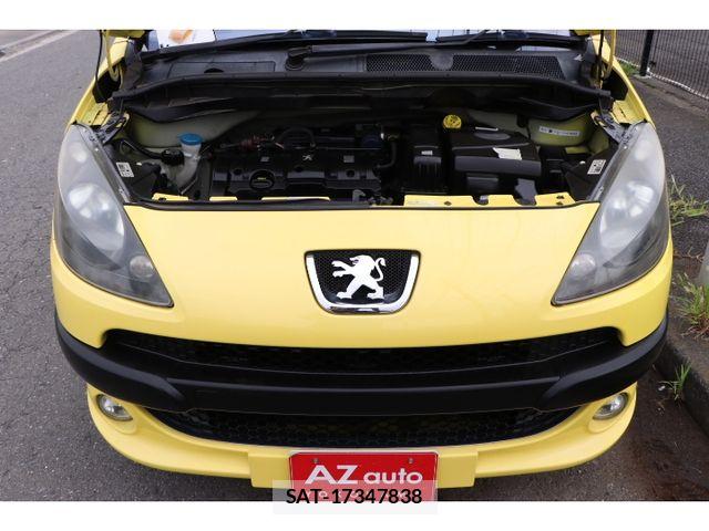 Peugeot 1007 2008-06 8666716-16