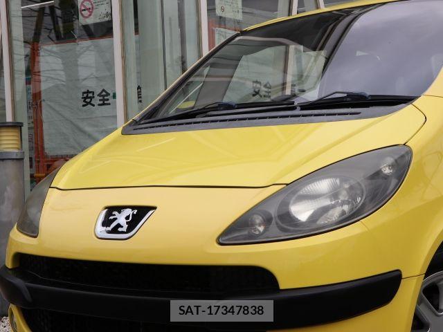 Peugeot 1007 2008-06 8666716-18