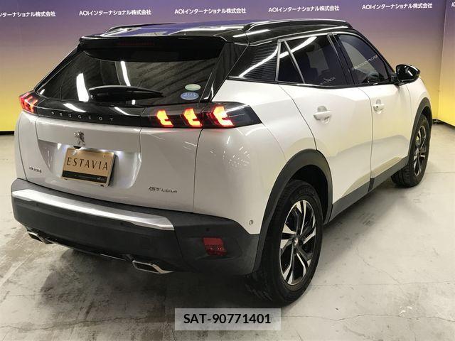 Peugeot 2008 2020-09 2032161-10