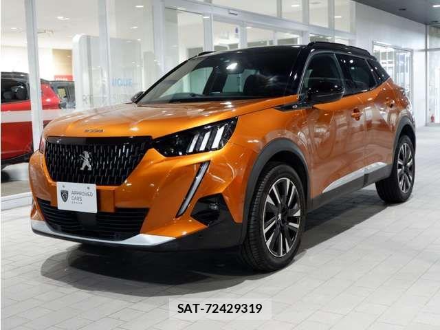 Peugeot 2008 2021-03 5875301-8