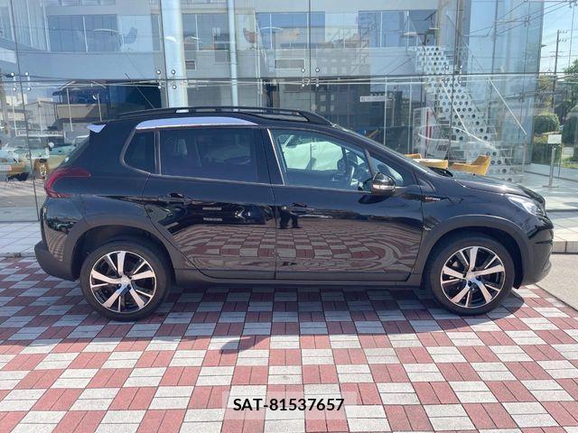 Peugeot 2008 2018-05 6614079-18