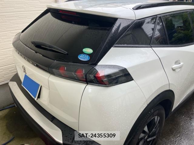 Peugeot 2008 2021-01 7878737-6