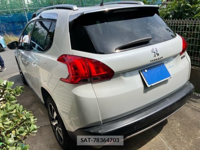 Peugeot 2008 2016-10 8075100-7