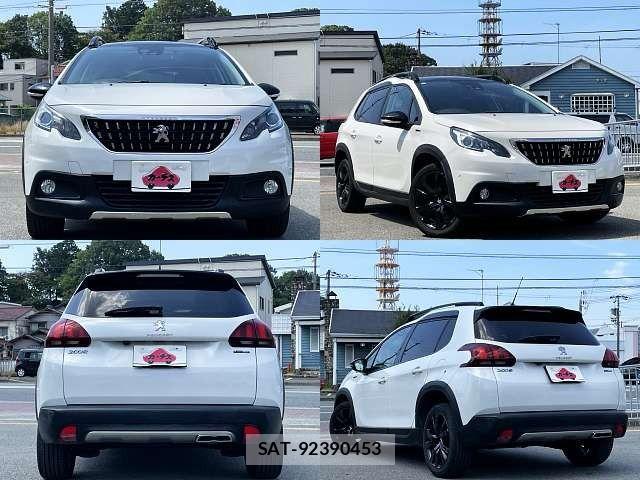 Peugeot 2008 2019-07 8316345-7
