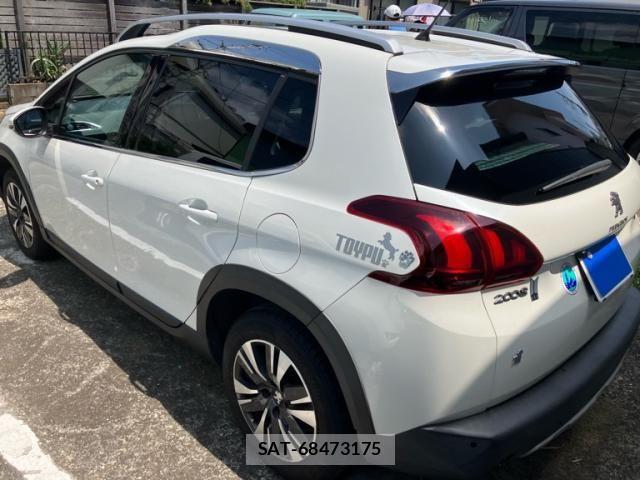 Peugeot 2008 2017-03 8316351-5