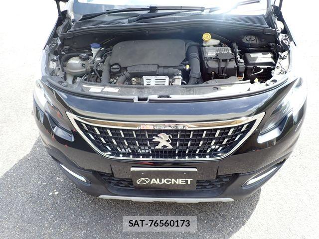 Peugeot 2008 2018-11 8438697-24