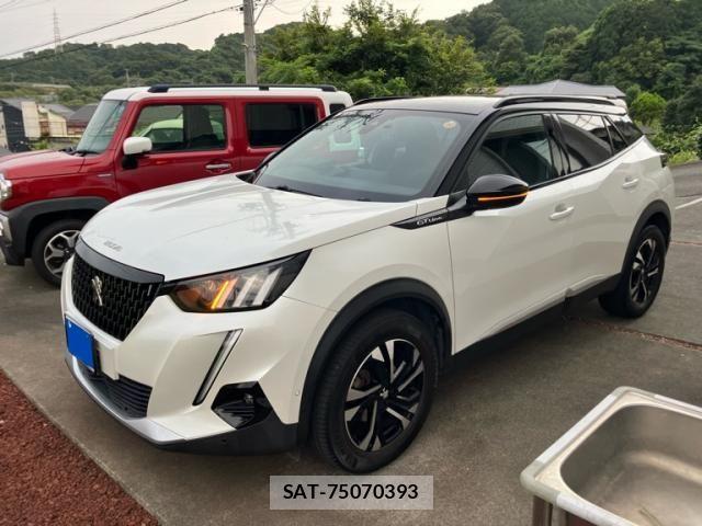 Peugeot 2008 2020-12 8526551-1