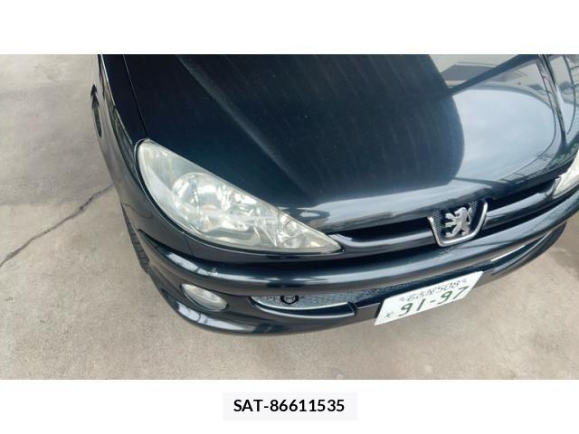Peugeot 206 2004-01 7619147-11