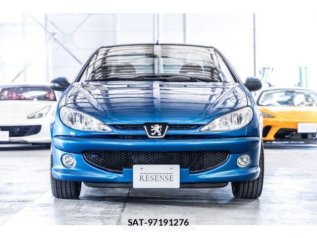 Peugeot 206 2006-05 4599136-3