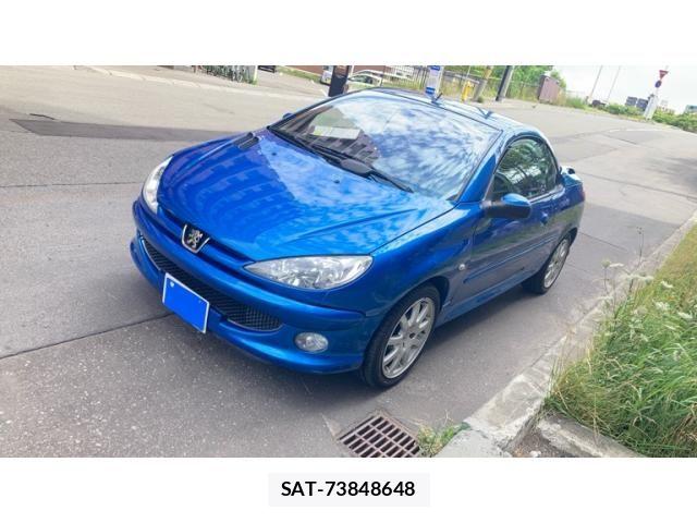 Peugeot 206 2007-09 8246318-0
