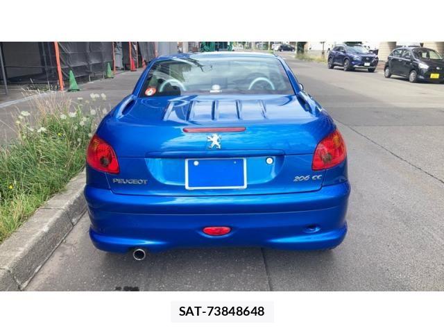 Peugeot 206 2007-09 8246318-3