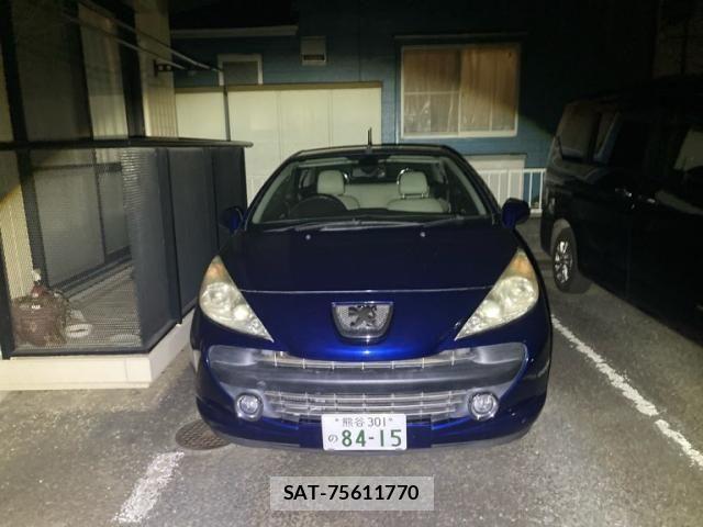 Peugeot 207 2007-06 6997078-1