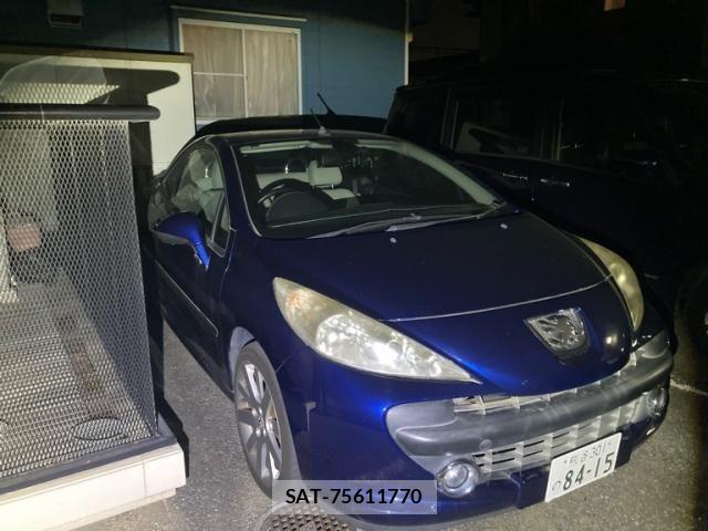 Peugeot 207 2007-06 6997078-2