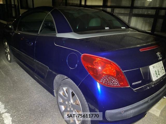 Peugeot 207 2007-06 6997078-7