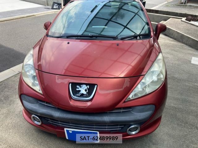 Peugeot 207 2007-09 7980549-2