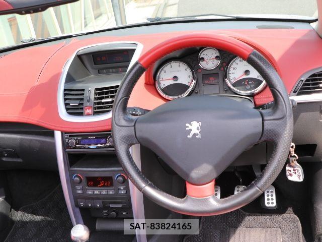 Peugeot 207 2009-09 8075101-12