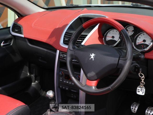 Peugeot 207 2009-09 8075101-13