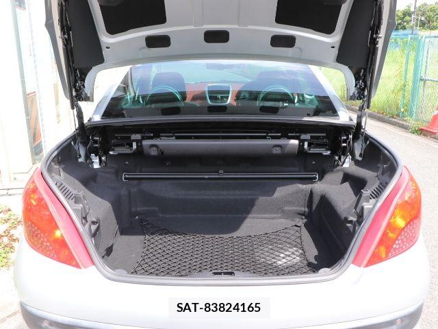 Peugeot 207 2009-09 8075101-14