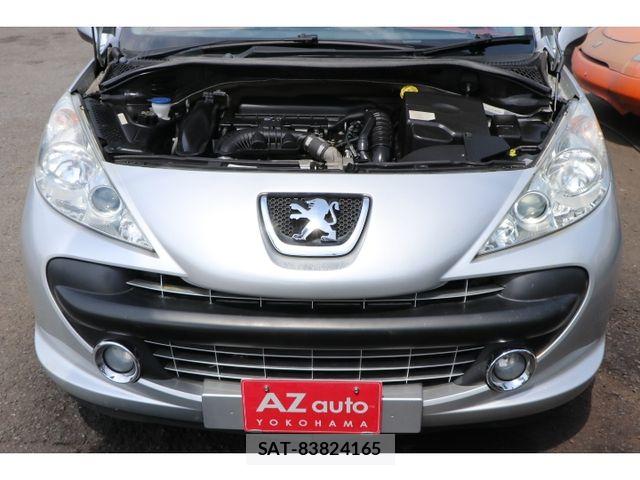 Peugeot 207 2009-09 8075101-16