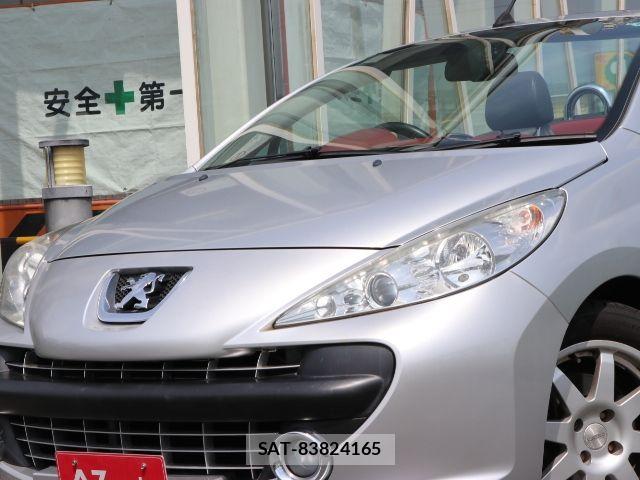 Peugeot 207 2009-09 8075101-18
