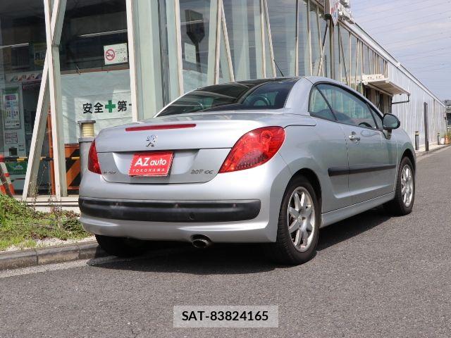 Peugeot 207 2009-09 8075101-19