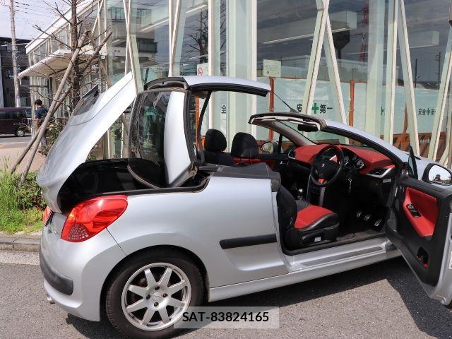 Peugeot 207 2009-09 8075101-20