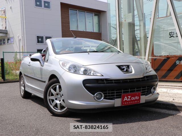 Peugeot 207 2009-09 8075101-21