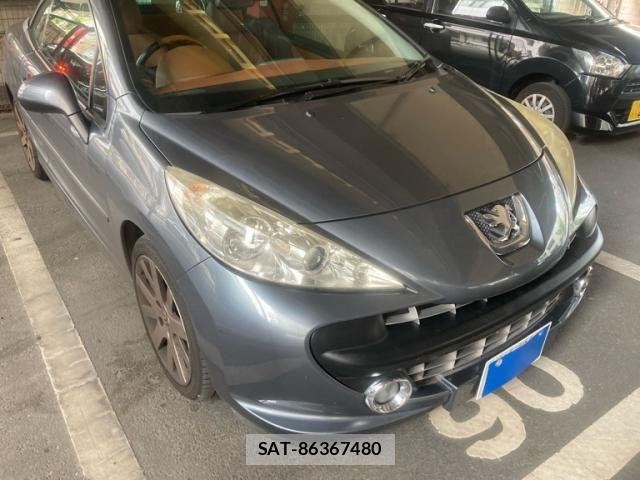 Peugeot 207 2009-08 8131849-0