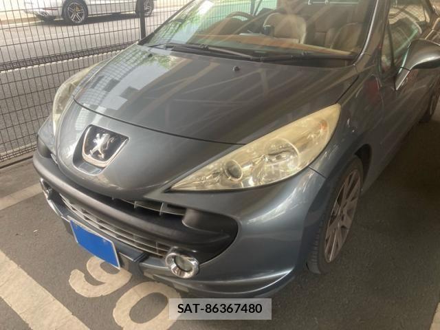 Peugeot 207 2009-08 8131849-1