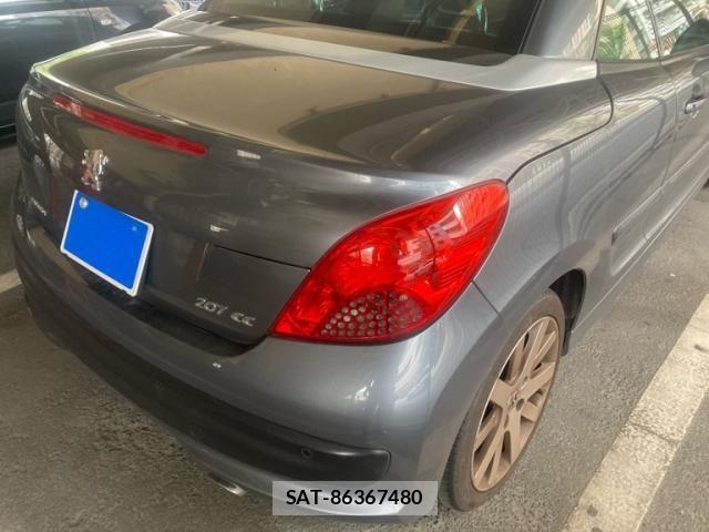 Peugeot 207 2009-08 8131849-3