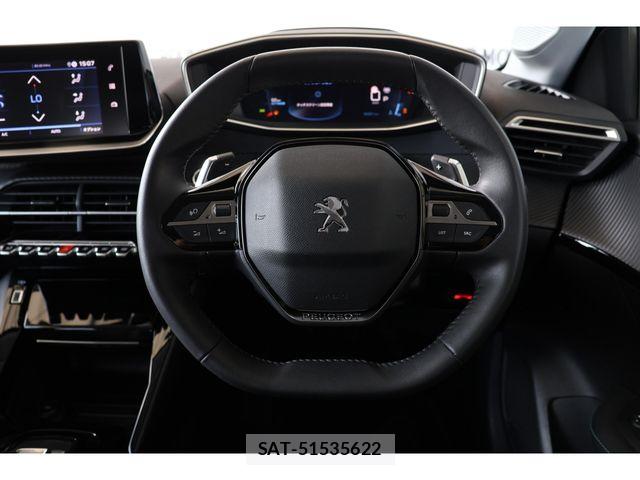Peugeot 208 2023-09 8209509-11