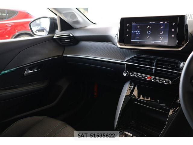 Peugeot 208 2023-09 8209509-14