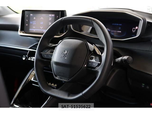 Peugeot 208 2023-09 8209509-7